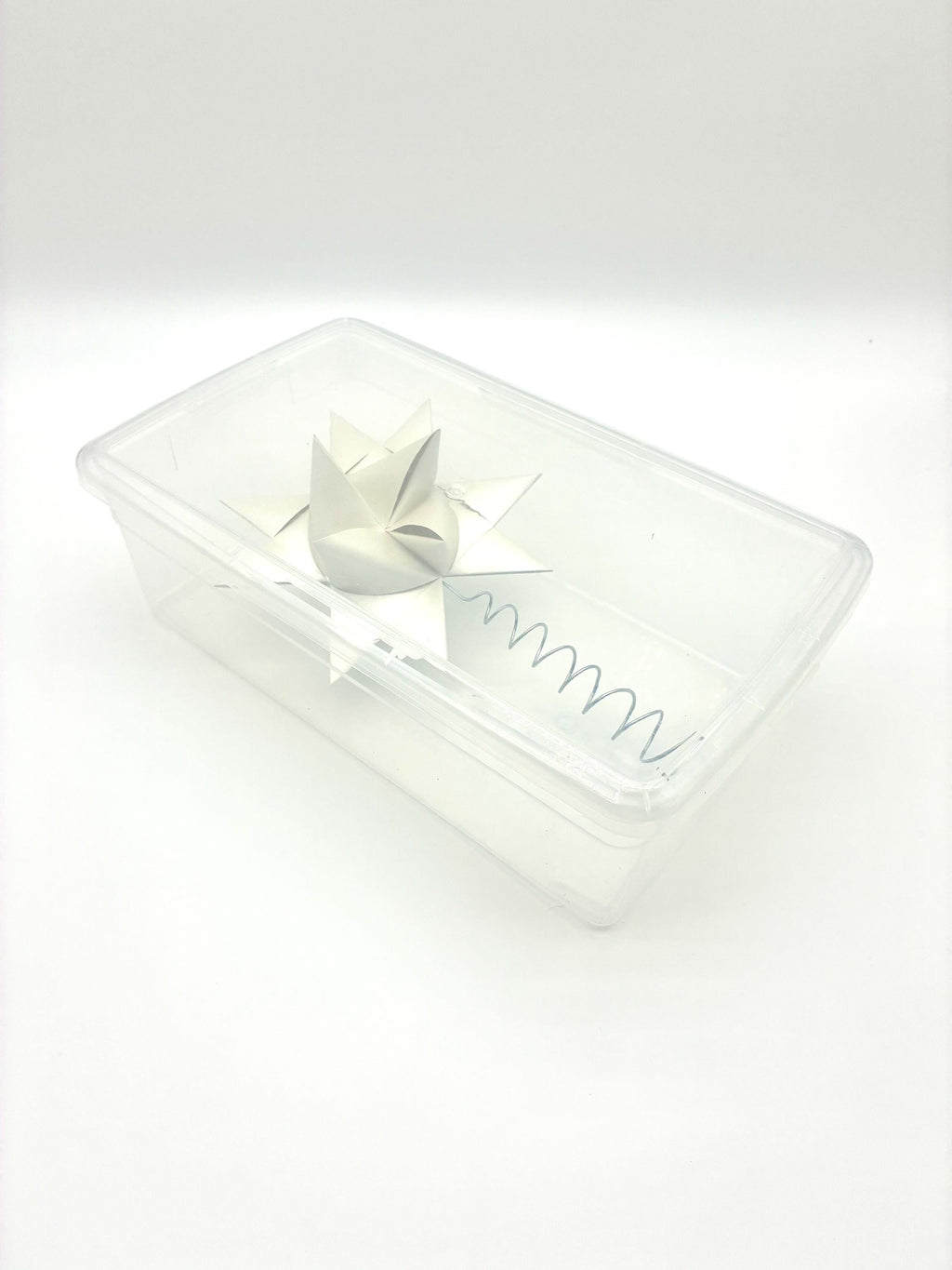 Champagne Tree Topper~ Froebel Paper Star